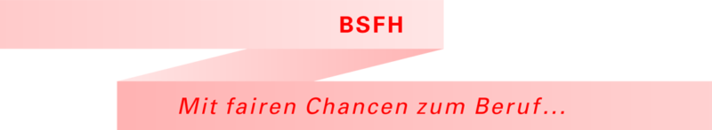 Berufsfachschule für Lernende mit Hör- und Kommunikationsbehinderung BSFH